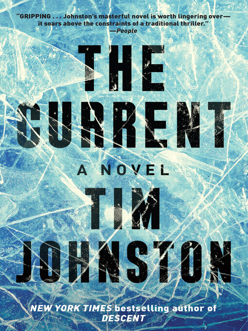 Title details for The Current by Tim Johnston - Available